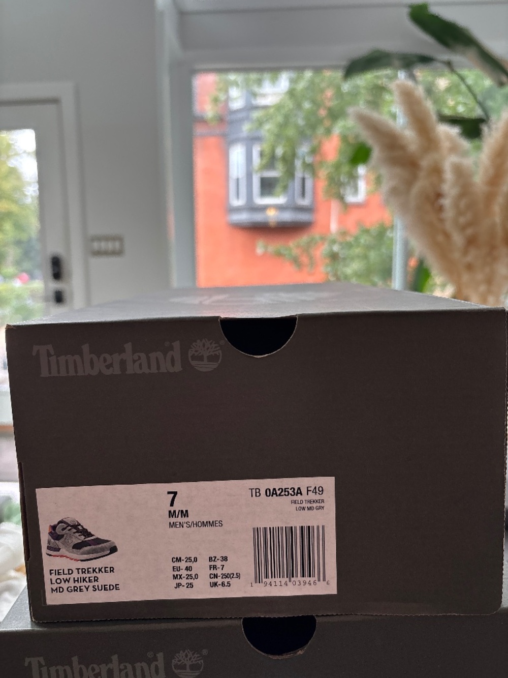 Timberland Field Trekker Shoe